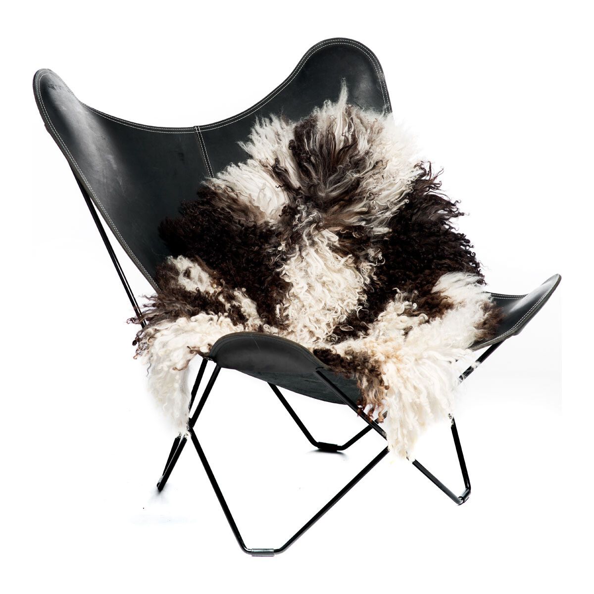 Curly Sheepskin | Austria | Natural Colors | 35 in Mix/Spotted