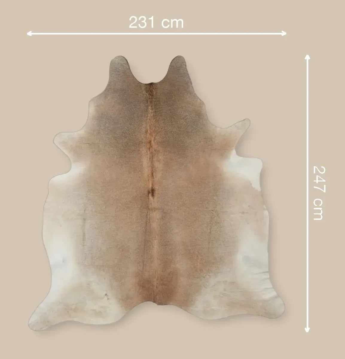 Cow Hide Rug | 3,79 sqm Grey Beige