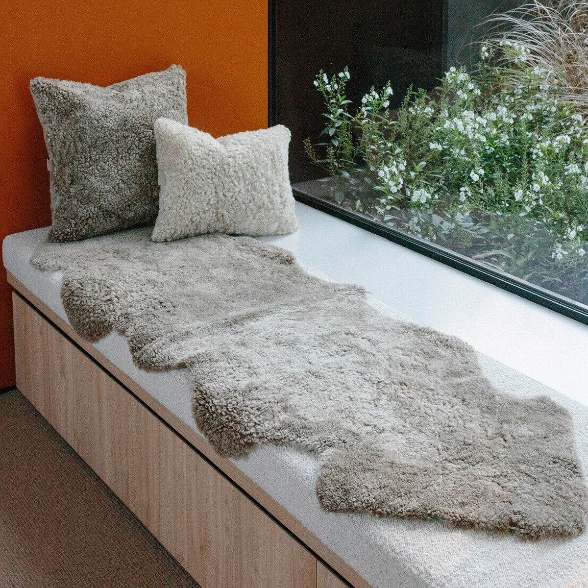 Double Sheepskin Rug | New Zealand | Short Wool curly Pearl