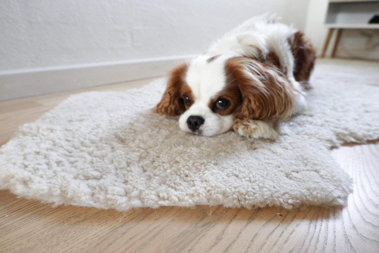 Short Wool Sheepskins