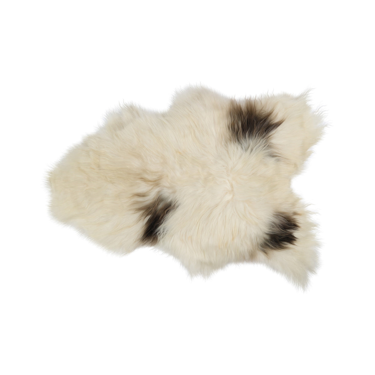 Icelandic Sheepskin | Long Wool Art Spotted