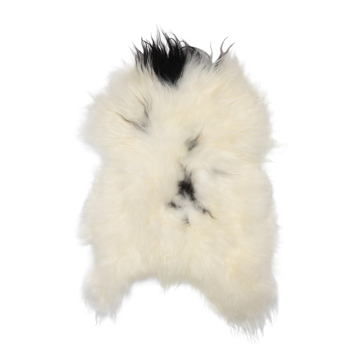 Icelandic Sheepskin | Long Wool | 35x24 in Spotted (White with Black Spots)
