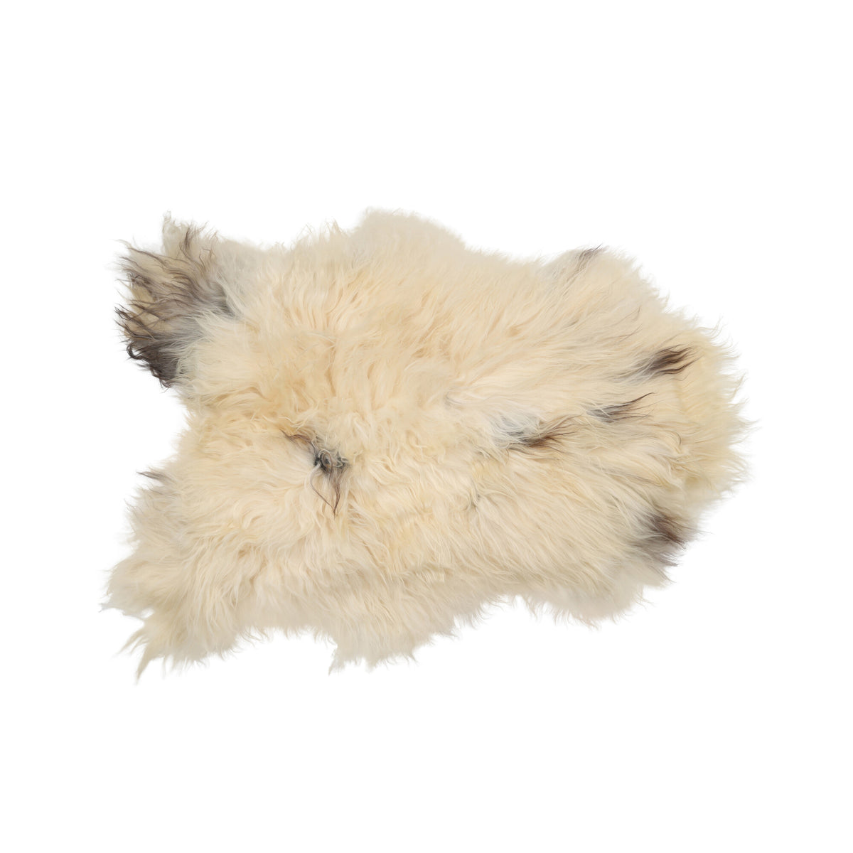 Icelandic Sheepskin | Long Wool | 35x24 in Spotted (White with Brown Spots)