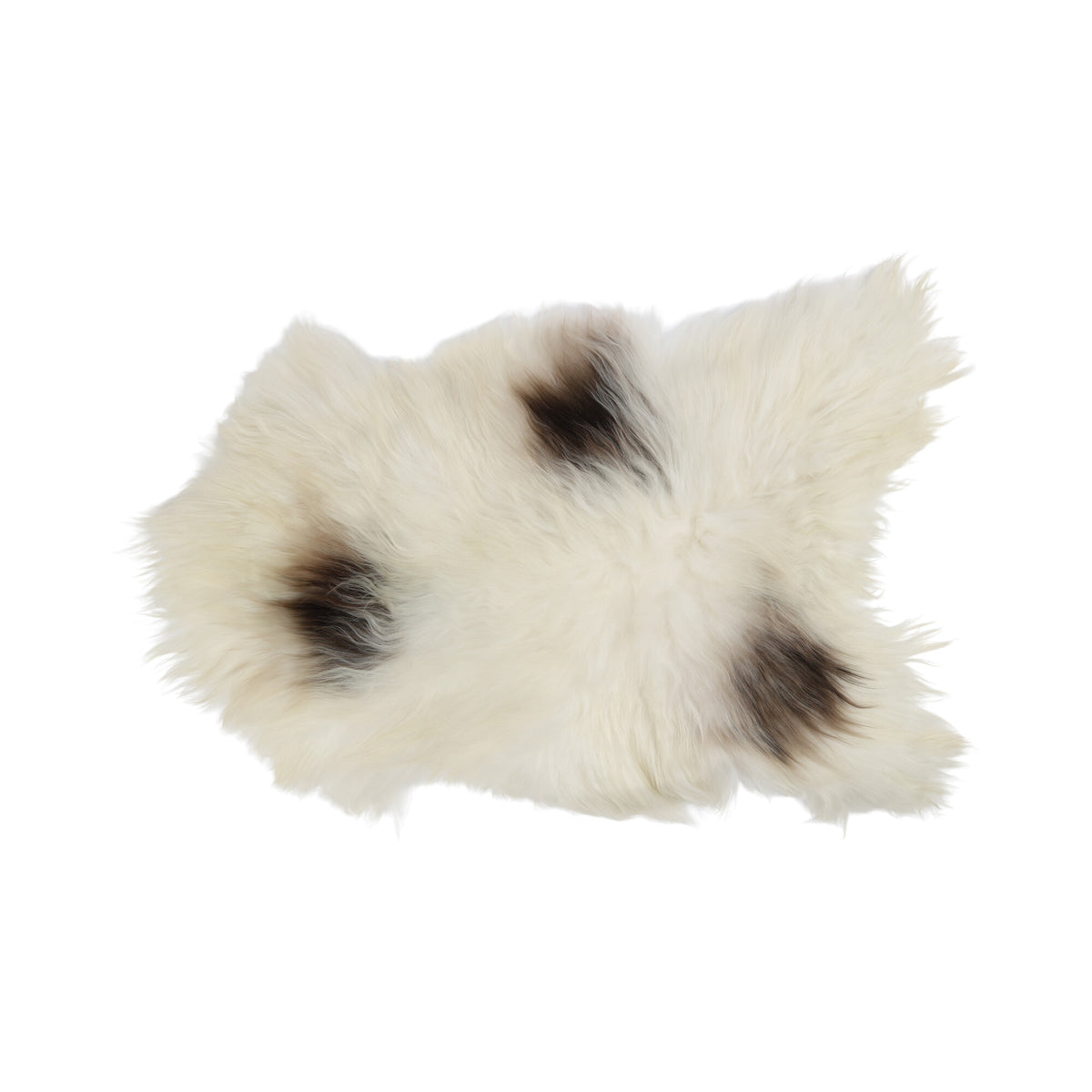 Icelandic Sheepskin | Long Wool Art Spotted