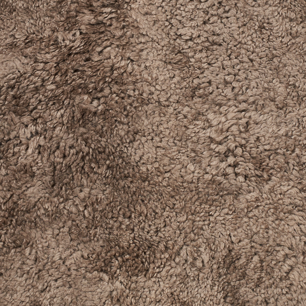 Short Wool Curly Sheepskin Shell Design Rug | 83x59 in Taupe