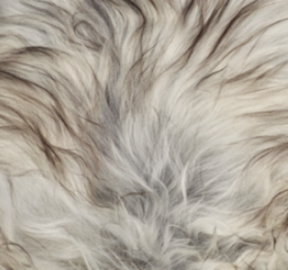 Bench with Icelandic Sheepskin | Oak Legs Natural Grey