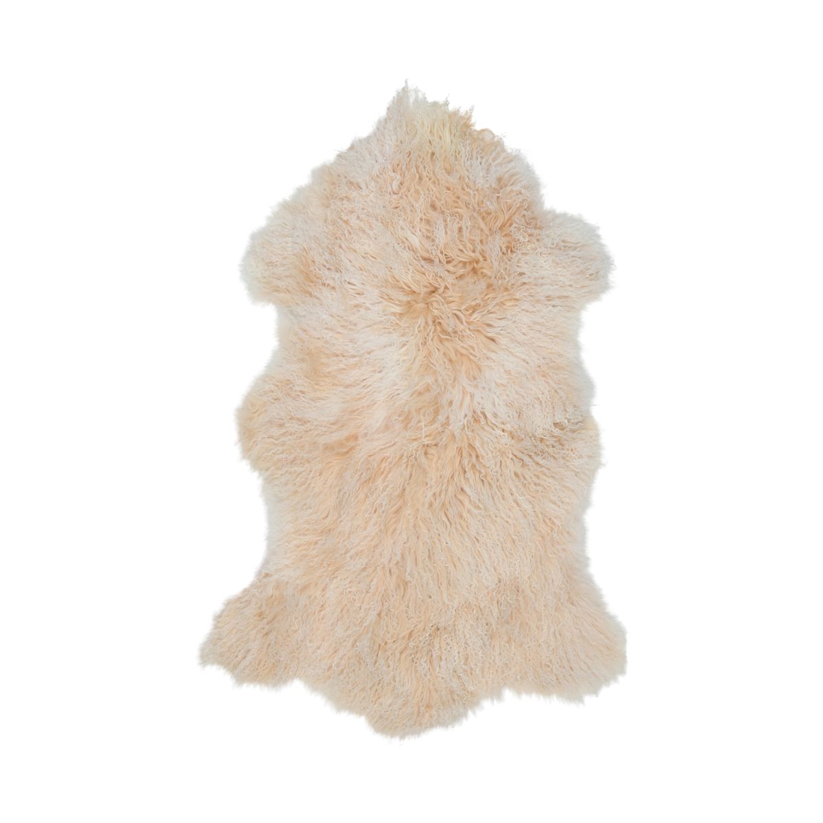 Tibetan Sheepskin | Curly | 33x20 in Arctic Sunrise