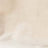 Throw of Short Wool Double Face Ivory