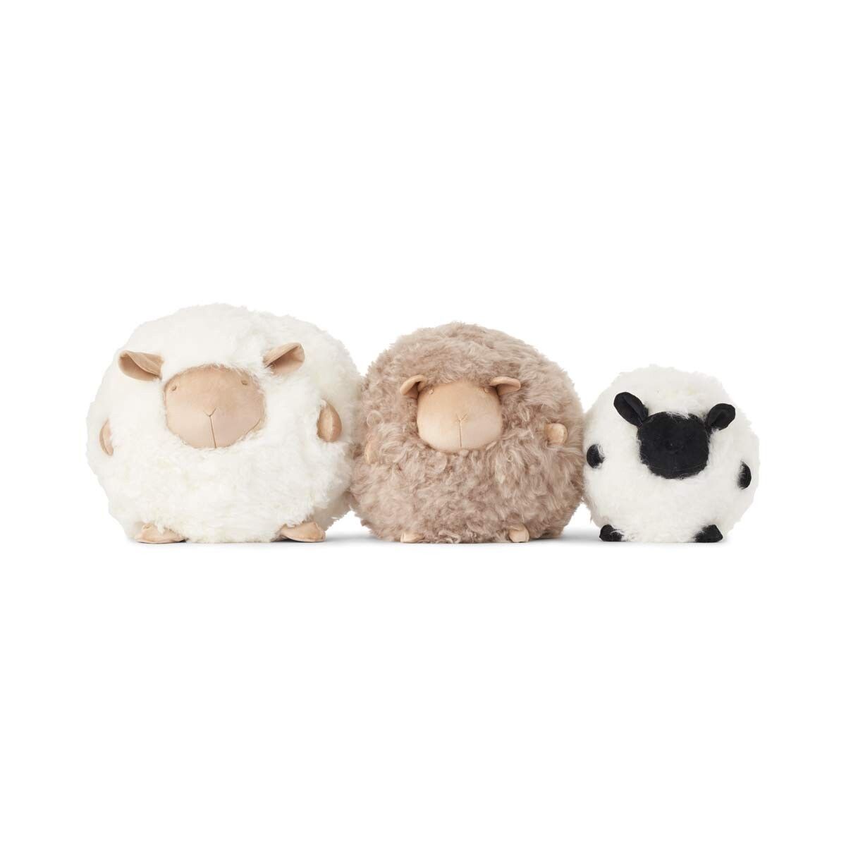 Cute Sheep Cushion | D10 in  Black/White