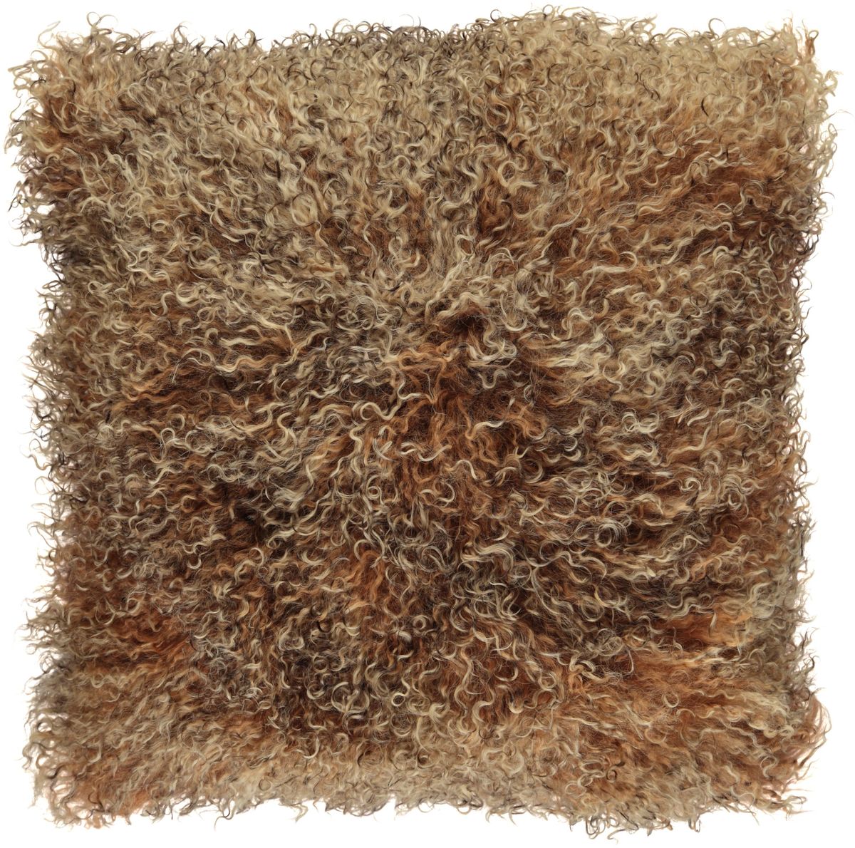 Curly Sheepskin Cushion | Doublesided | 22x22 in | 16x16 in