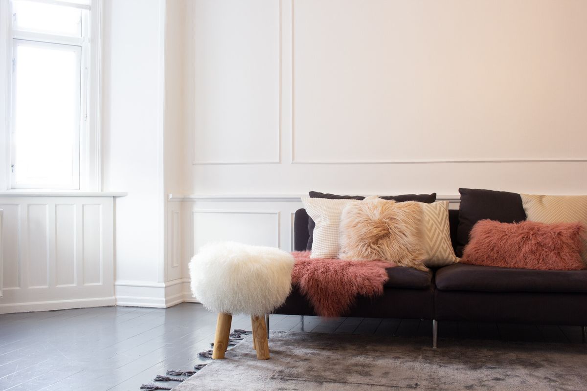 Tibetan Sheepskin | Curly | 33x20 in Arctic Sunrise