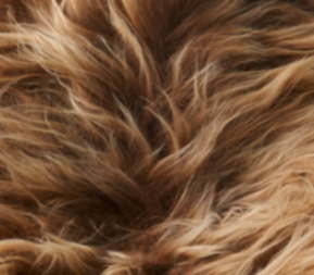 Bench with Icelandic Sheepskin | Oak Legs Rusty Brown