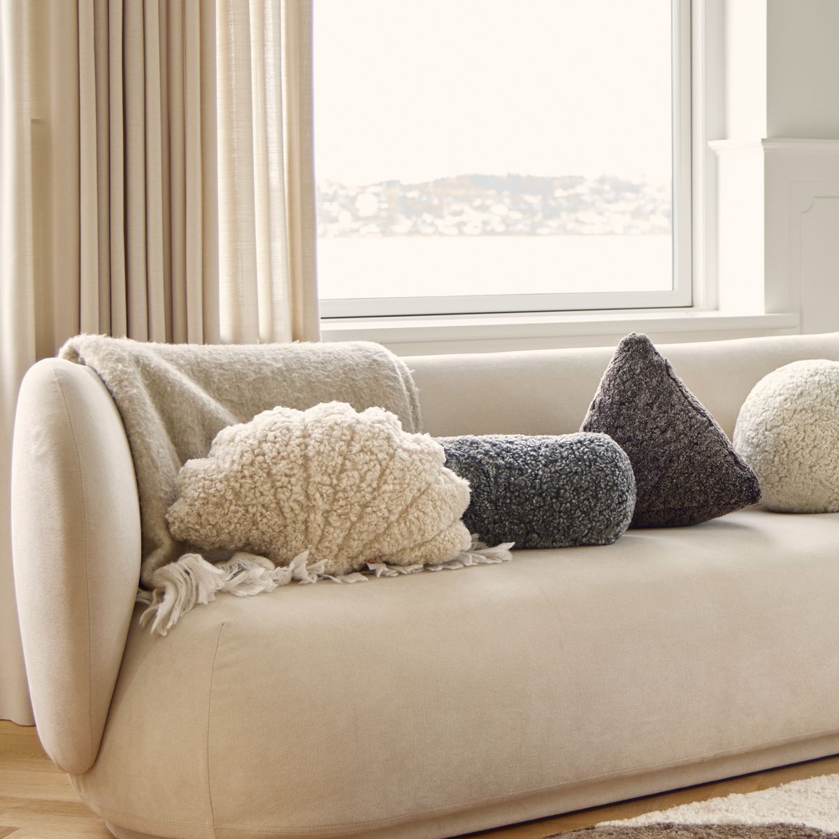 Shell Cushion | Small | Medium | Large Anthracite