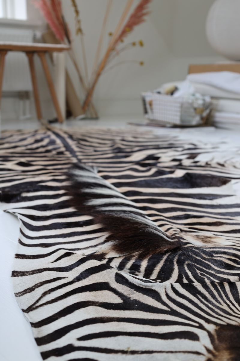 Zebra Hide