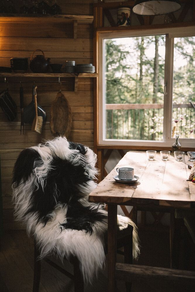 Icelandic Sheepskin | Long Wool | 35x24 in Natural Creamy White
