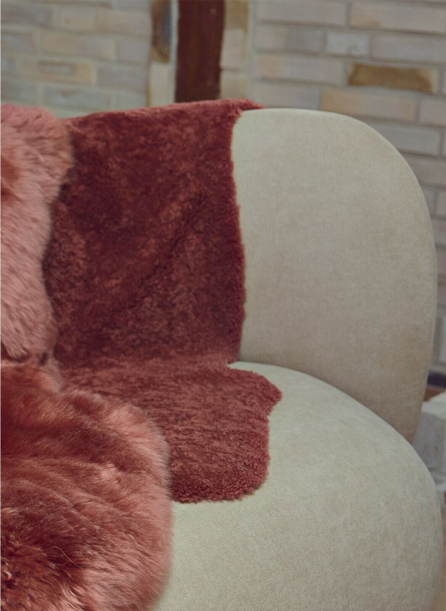 New Zealand Sheepskin | Short Curly Wool Spiced Apple