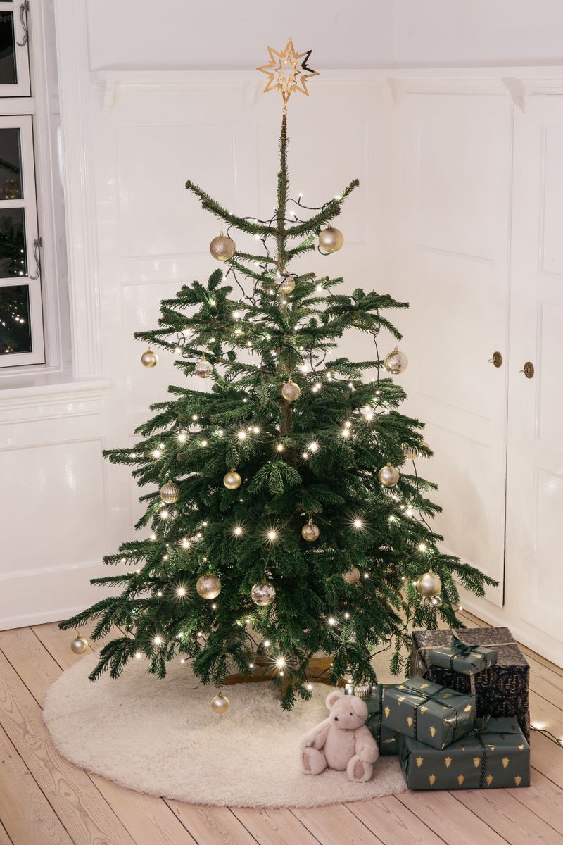 Short Wool Curly Sheepskin Design Rug | D55 in Pearl