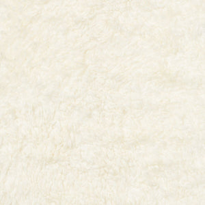 Short Wool Curly Sheepskin Shell Design Rug | 83x59 in Ivory