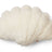 Shell Cushion | Small | 35x50 cm Ivory
