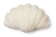 Shell Cushion | Small | 35x50 cm Ivory