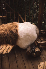 Icelandic Sheepskin | Long Wool | 90 cm