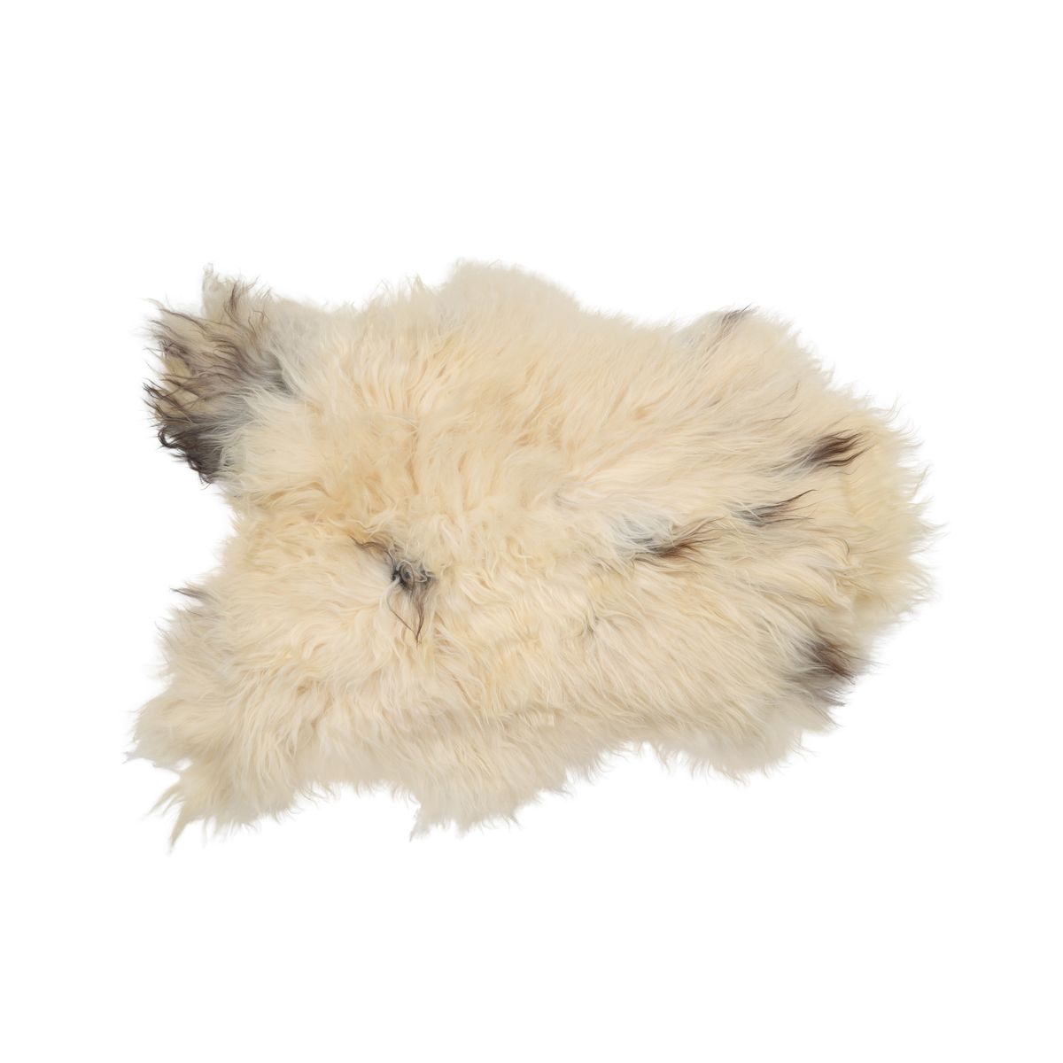 Icelandic Sheepskin | Long Wool | 35x24 in Spotted (White with Brown Spots)