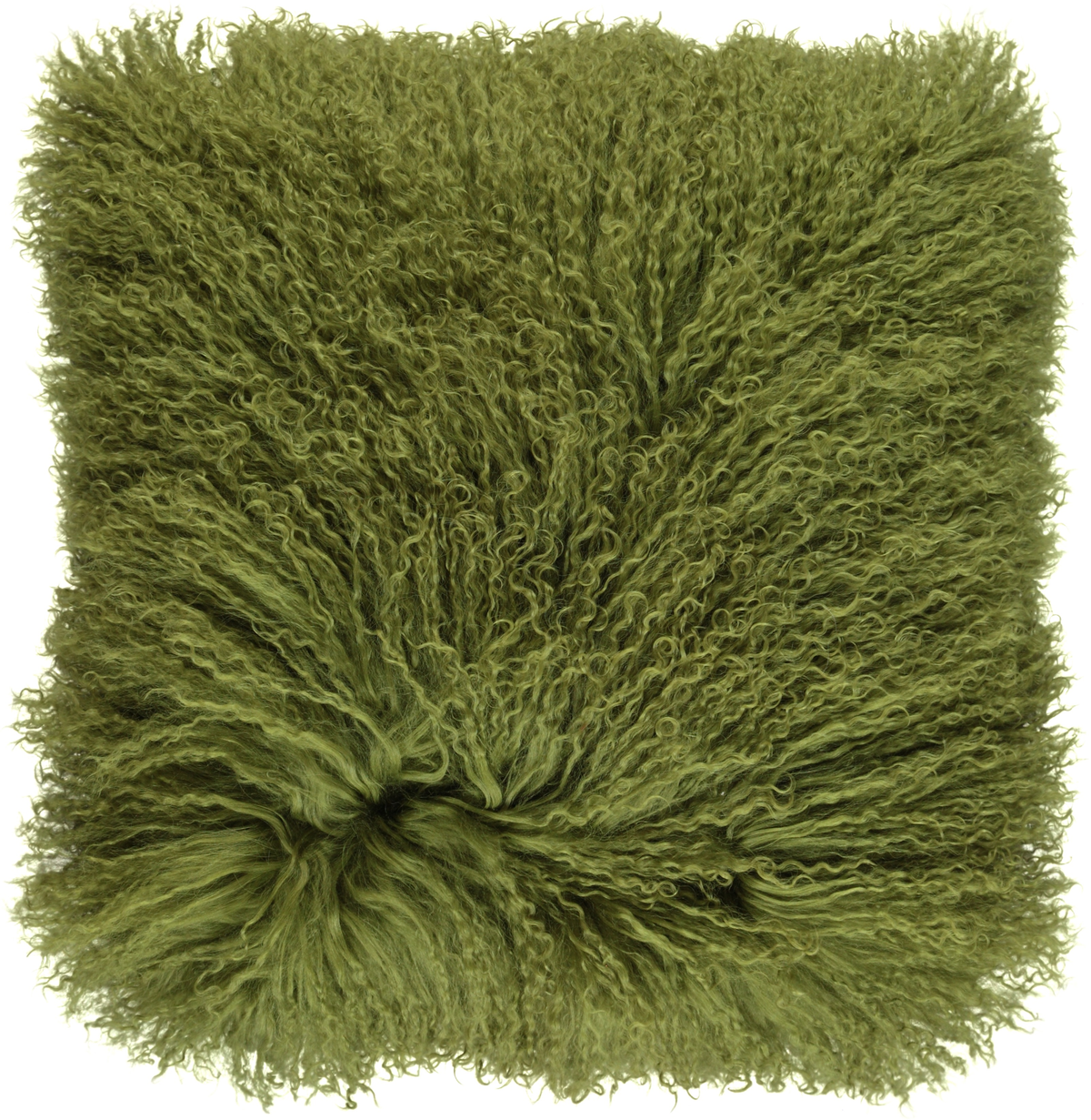 Curly Cushion | 16x16 in Treetop