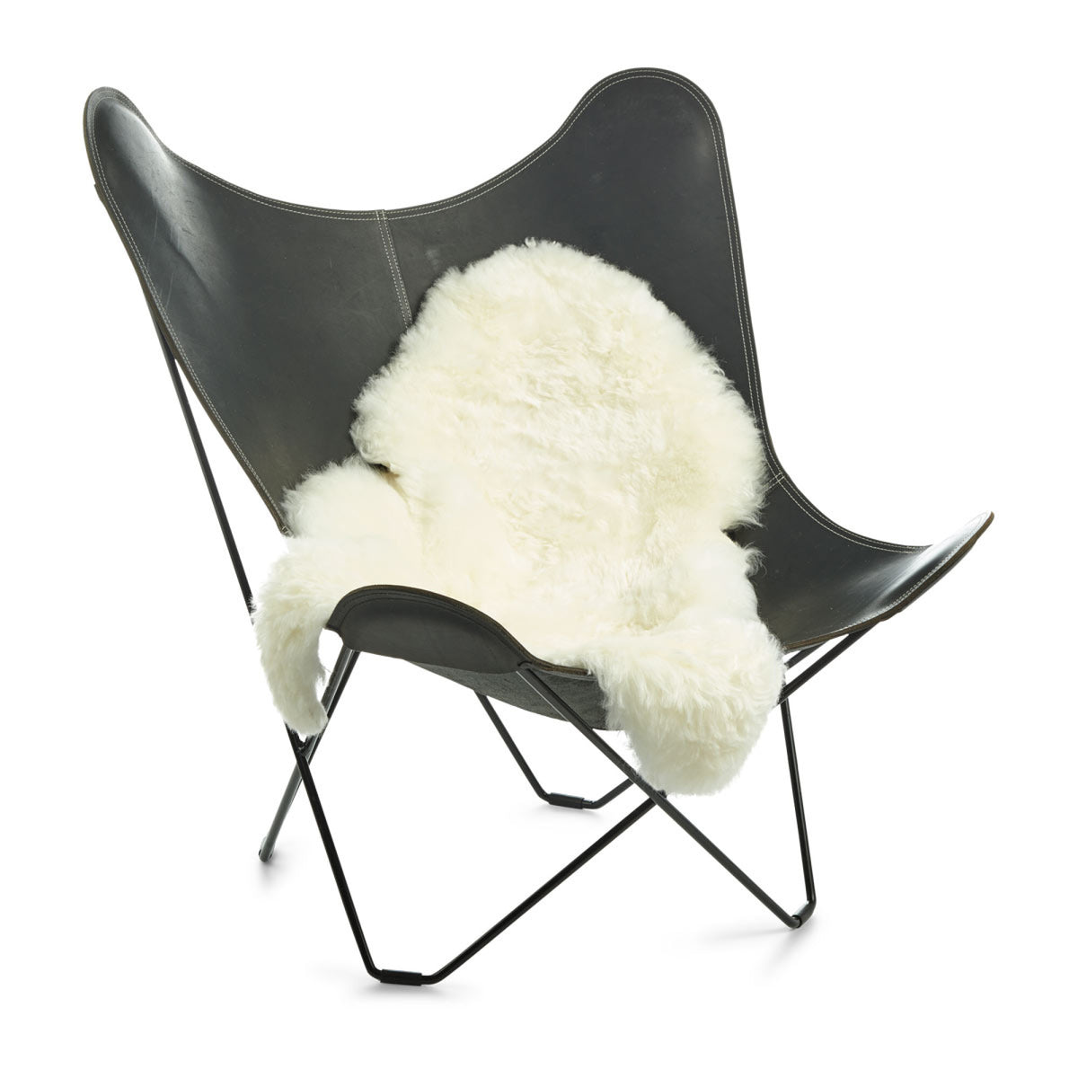 Icelandic Sheepskin | Short Wool | 39-47 in