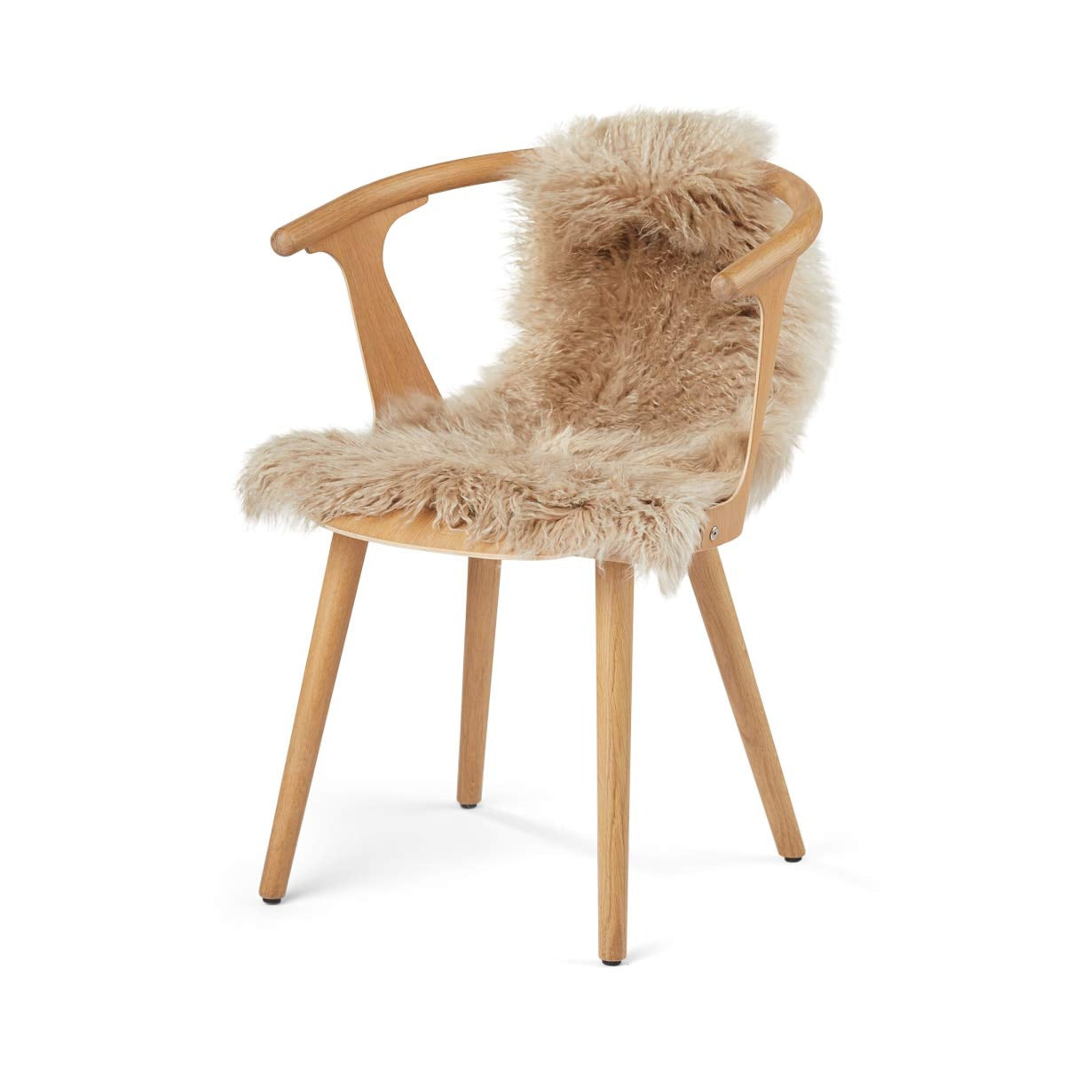 Mongolian Sheepskin | Curly | 33x20 in Sand Taupe